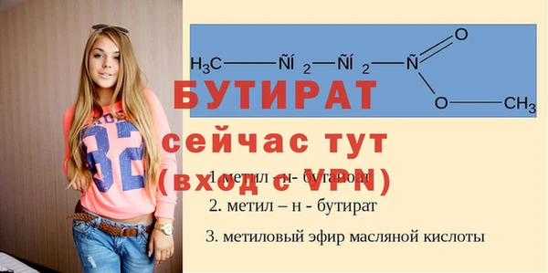 гидра Бородино
