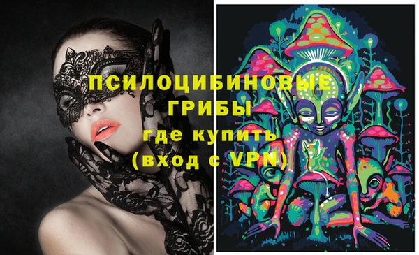 спиды Верея