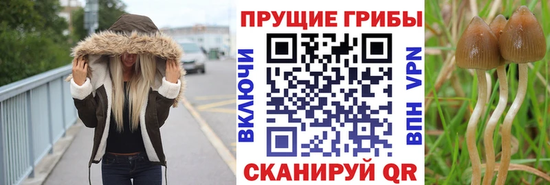 Купить  Острогожск  Галлюциногенные грибы мухоморы 