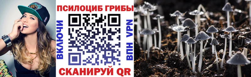 Галлюциногенные грибы Psilocybine cubensis Острогожск